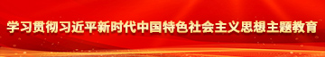 啊啊啊网站操我视频学习贯彻习近平新时代中国特色社会主义思想主题教育